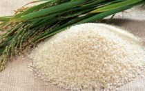 Rice Grains